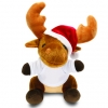 Soft Toys with Personalised T Shirt - Various Sizes