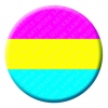 Pansexual Button Pin Badge