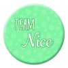 Team Nice Button Pin Badge