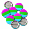 Polysexual Button Pin Badge