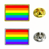 Rainbow Insert Lapel Pin - Rectangle 21x13mm